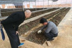 宠物豢养业也是一个快速成长的