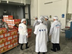 连系便宜定风险清单