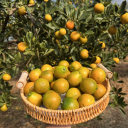  离不开严酷的地标